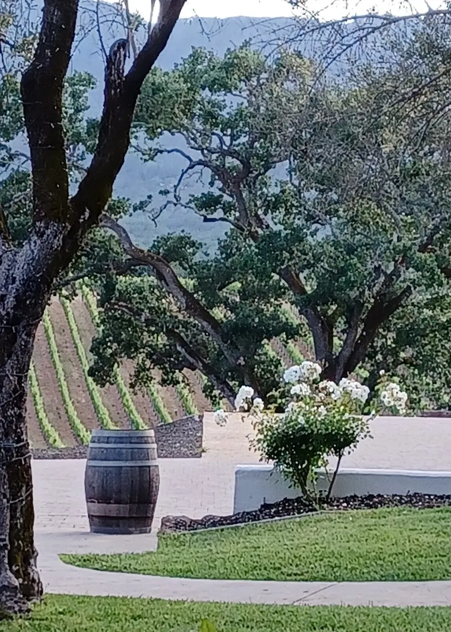 Wine barrels stacked outside a Napa winery