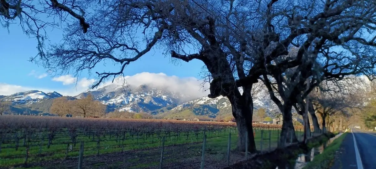 Snow-dusted peak over a Napa Valley field